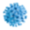 Virus shape