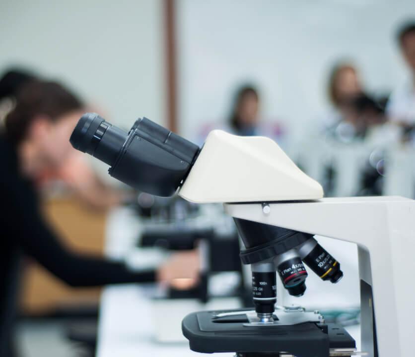 Epidemiological Insights
